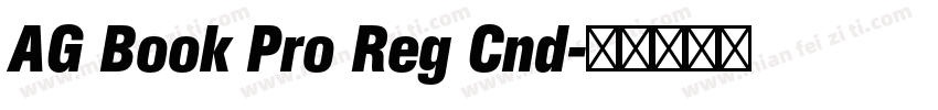 AG Book Pro Reg Cnd字体转换